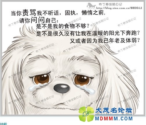 QQͼƬ20131031194952.jpg