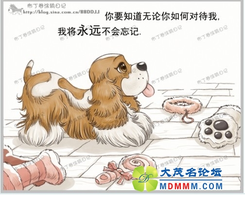 QQͼƬ20131031195012.jpg