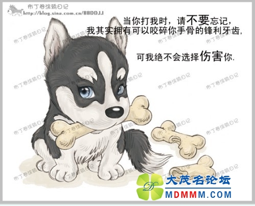 QQͼƬ20131031195049.jpg