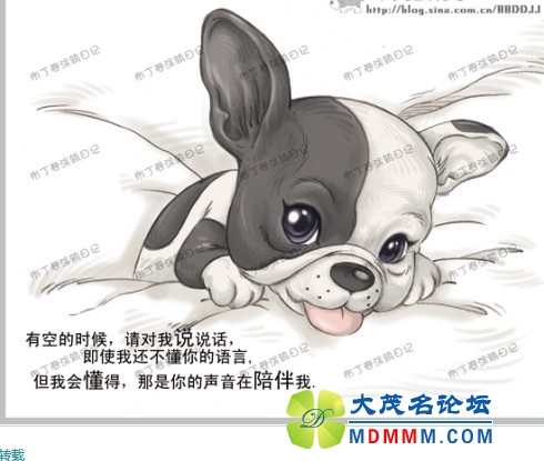 QQͼƬ20131031195115.jpg