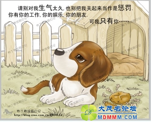 QQͼƬ20131031195133.jpg