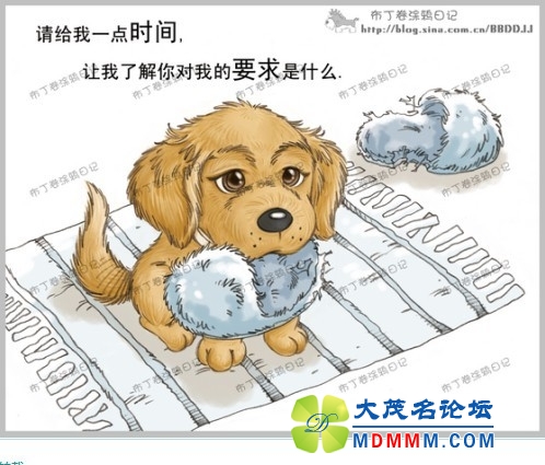 QQͼƬ20131031195152.jpg