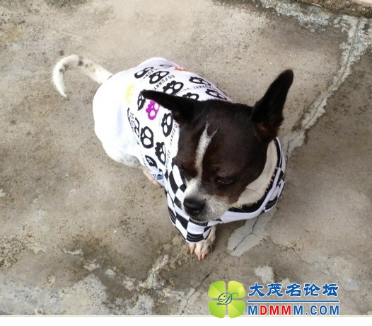 QQͼƬ20131105165539.jpg
