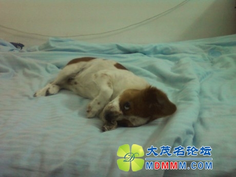 QQͼƬ20131030105818.jpg