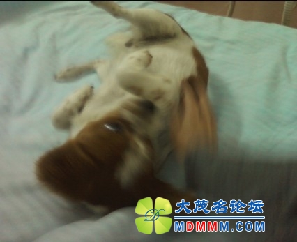 QQͼƬ20131030105919.jpg