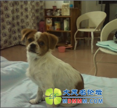 QQͼƬ20131030105947.jpg