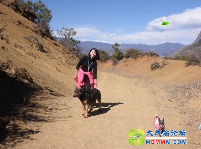 QQͼƬ20131105171350.jpg