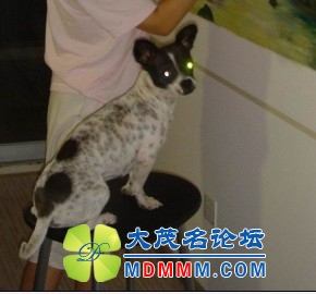 QQͼƬ20131106185206.jpg