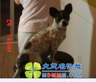 QQͼƬ20131106185108.jpg