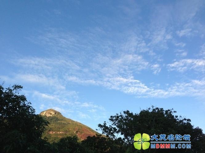 QQͼƬ20131105164436.jpg