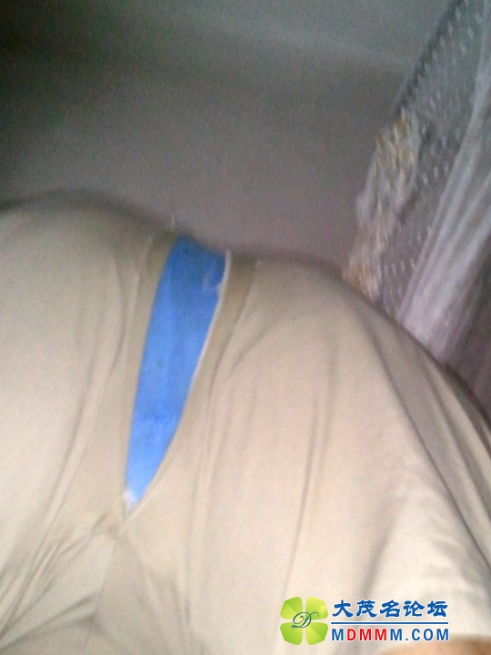 WP_001760.jpg