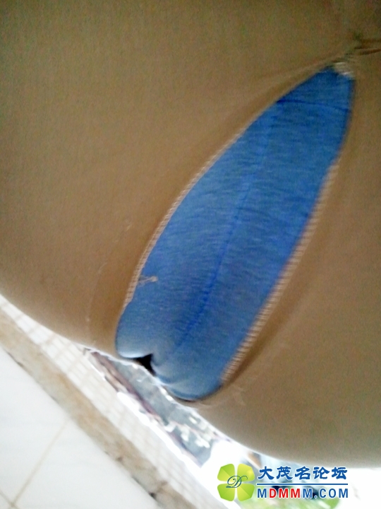 WP_001757.jpg