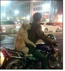 QQͼƬ20131107220950.jpg