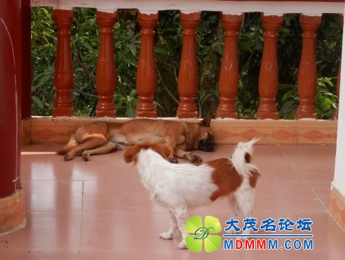 QQͼƬ20131107221801.jpg