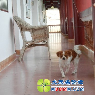 QQͼƬ20131107222002.jpg