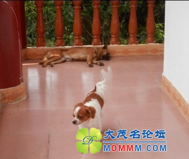 QQͼƬ20131107222829.jpg