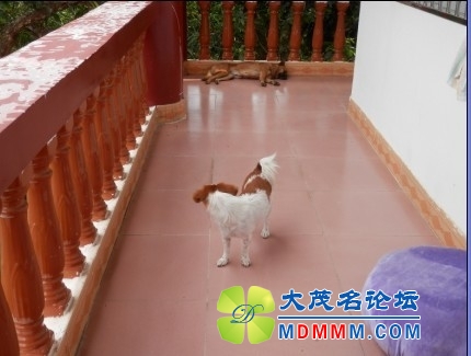 QQͼƬ20131107222849.jpg