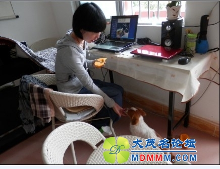 QQͼƬ20131107222441.jpg