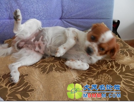 QQͼƬ20131108115302.jpg