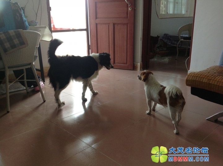 QQͼƬ20131108140340.jpg