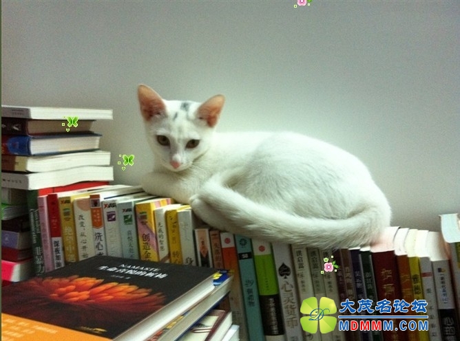 QQͼƬ20131109091707.jpg