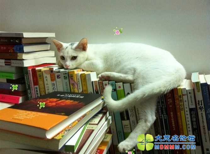 QQͼƬ20131109091744.jpg