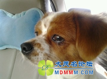 QQͼƬ20131109092758.jpg