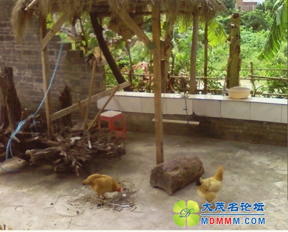 QQͼƬ20131109212003.jpg