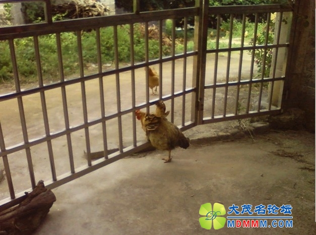 QQͼƬ20131109212022.jpg