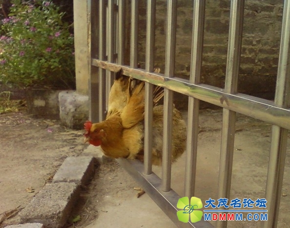 QQͼƬ20131109212040.jpg