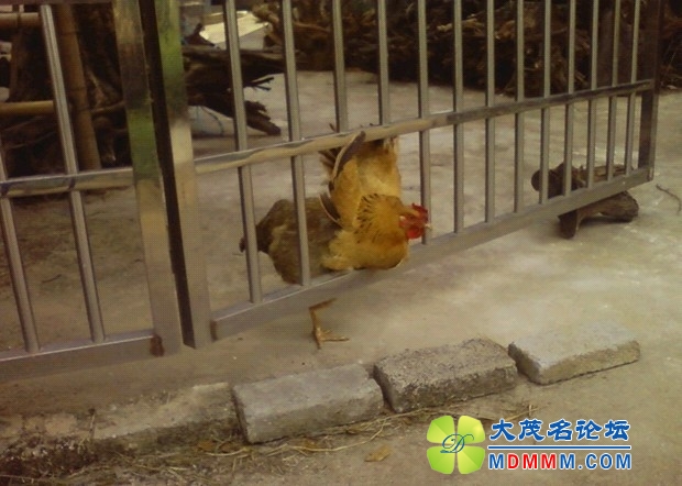 QQͼƬ20131109212056.jpg