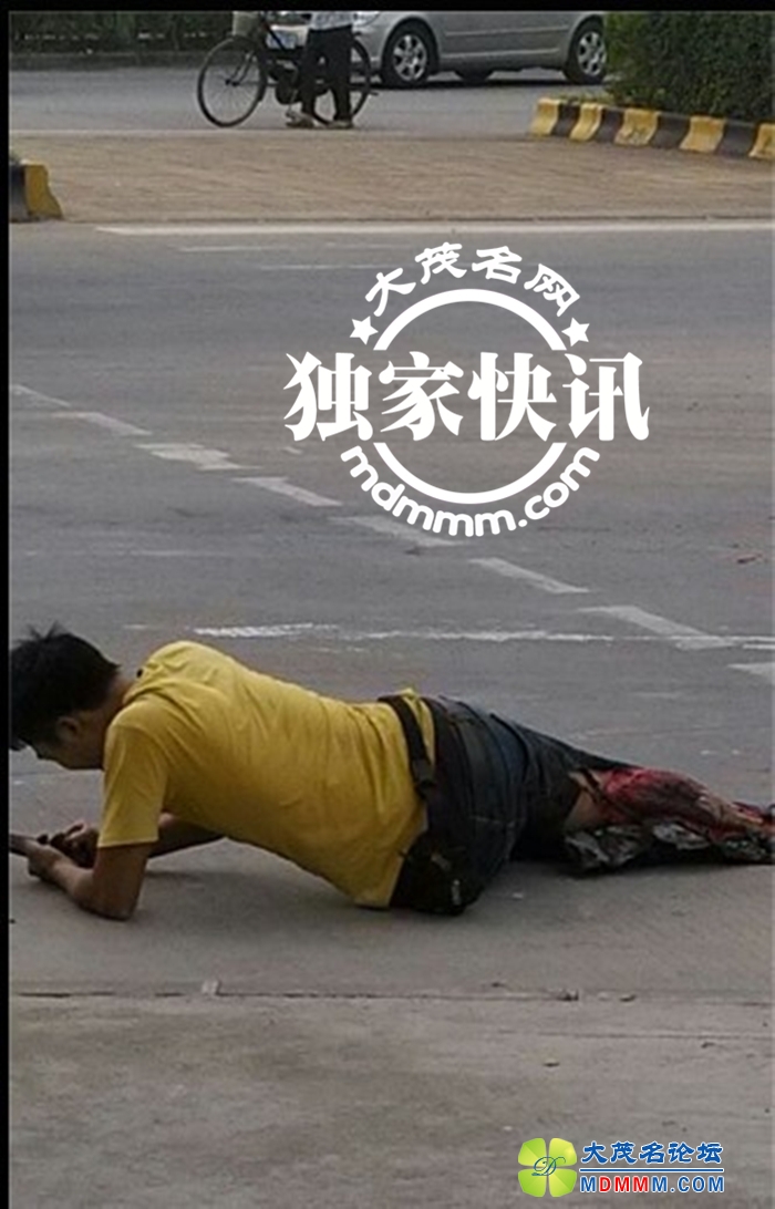 QQͼƬ20131110112809.jpg