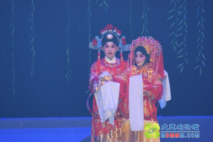 DSC07335_.jpg