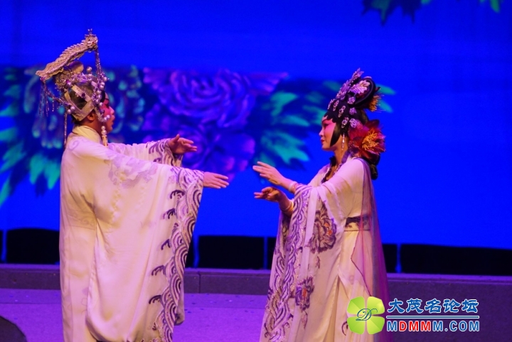 DSC07454_.jpg