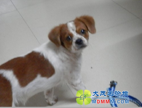 QQͼƬ20131111114927.jpg