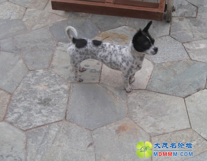 QQͼƬ20131110210150.jpg