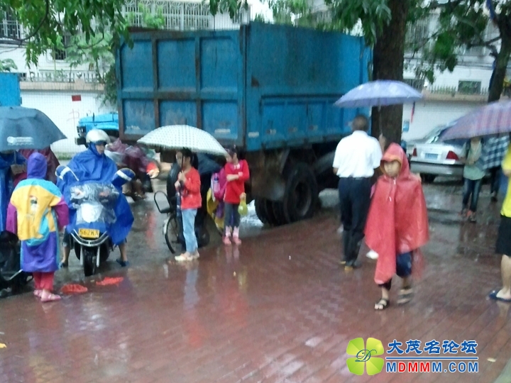 WP_001809.jpg