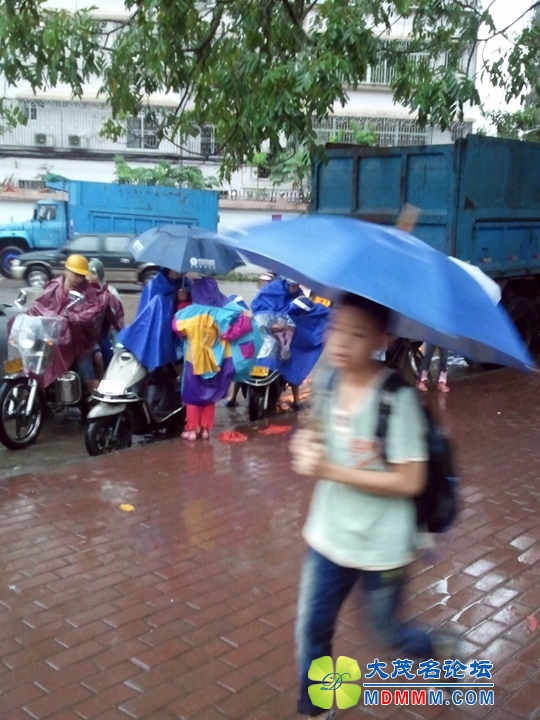 WP_001810.jpg