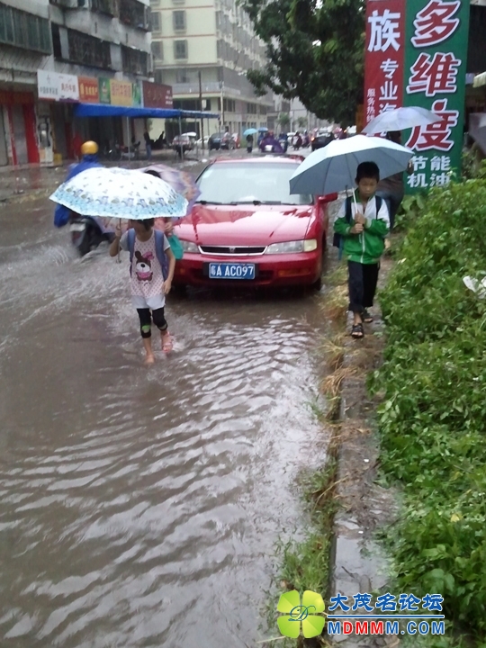 WP_001829.jpg