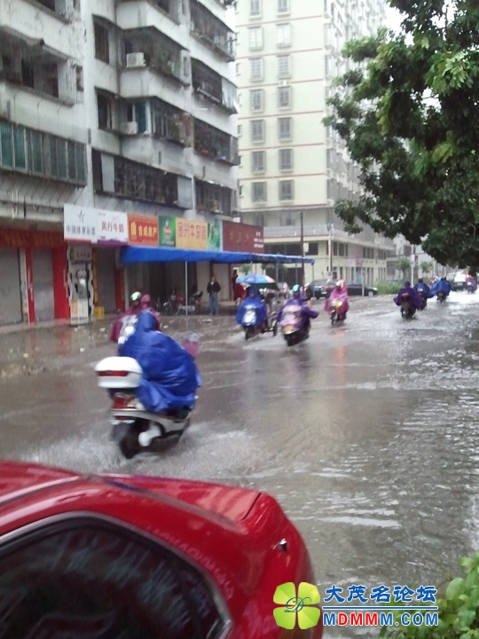WP_001830.jpg