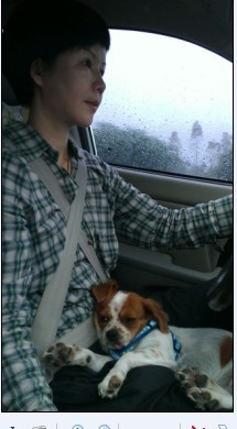 QQͼƬ20131112235915.jpg