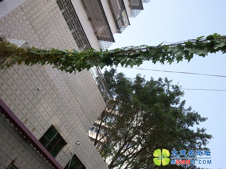 WP_001734.jpg