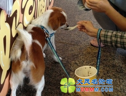 QQͼƬ20131113225101.jpg