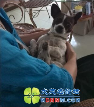 QQͼƬ20131113232337.jpg