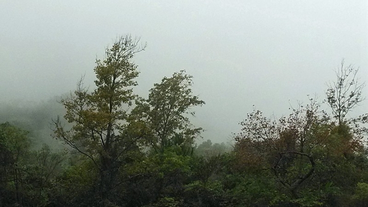 IMG_20131114_083539.jpg