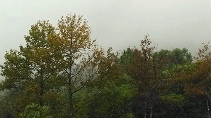 IMG_20131114_083544.jpg