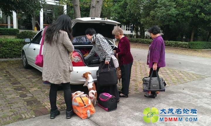 QQͼƬ20131114205227.jpg
