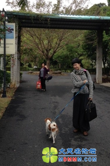 QQͼƬ20131114220844.jpg