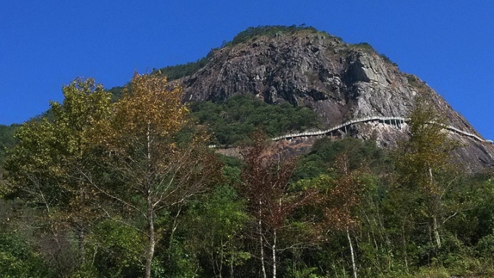 IMG_20131115_100159.jpg