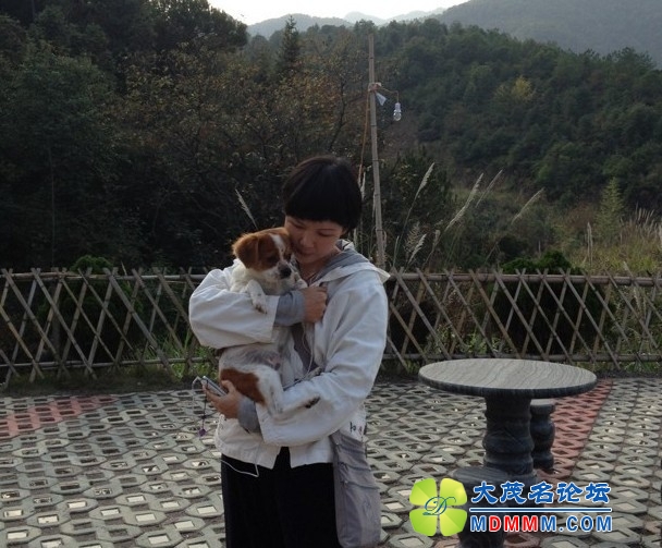 QQͼƬ20131115205949.jpg